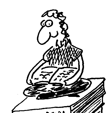 Conversation Starter Sex Education and books